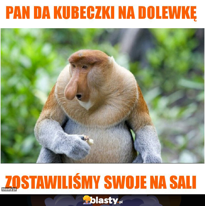 PAN DA KUBECZKI NA DOLEWKĘ