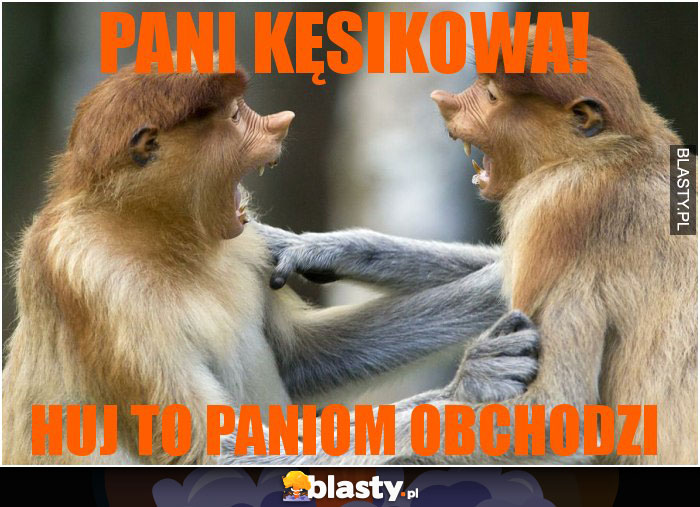 PANI KĘSIKOWA!