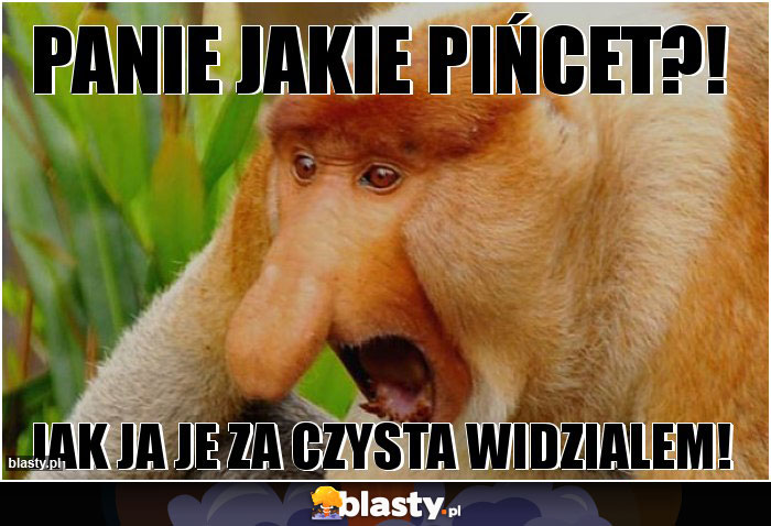 PANIE JAKIE PIŃCET?!