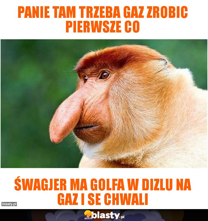 Panie tam trzeba gaz zrobic pierwsze co