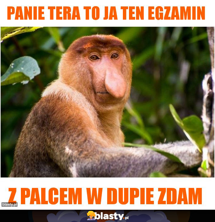 Panie tera to ja ten egzamin