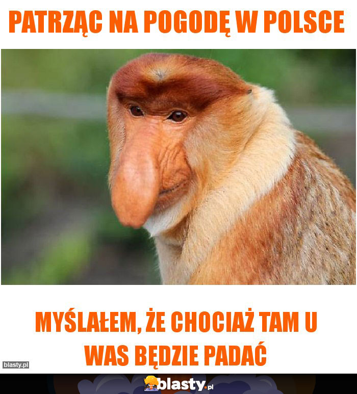 Patrząc na pogodę w polsce Patrząc na pogodę w polsce