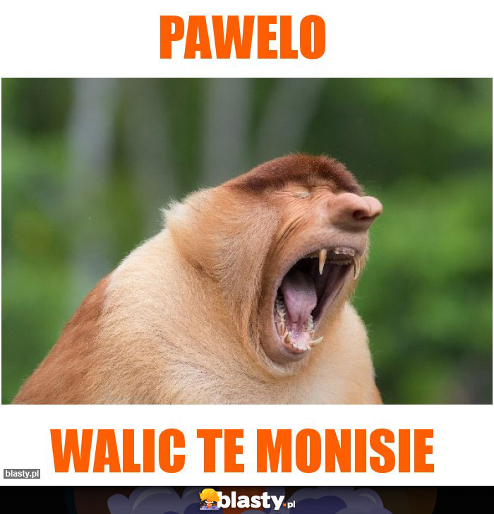 pawelo