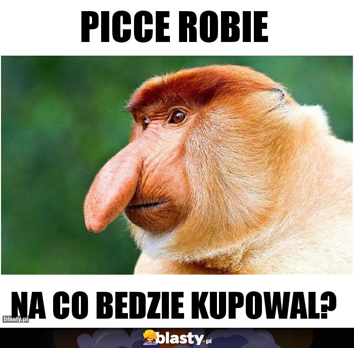 Picce Robie