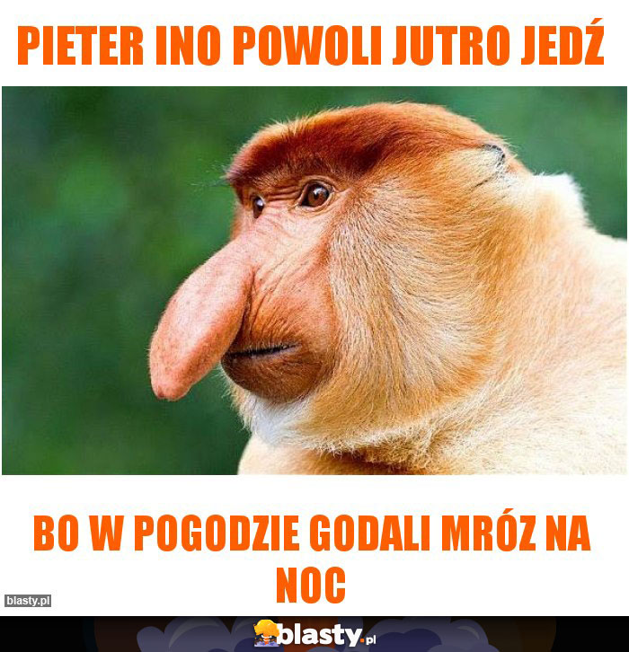 pieter ino powoli jutro jedź