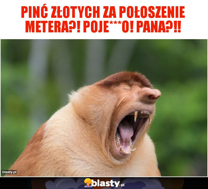 Pinć złotych za połoszenie metera?! POJE***O! Pana?!! Pinć złotych za połoszenie metera?! POJE***O! Pana?!!