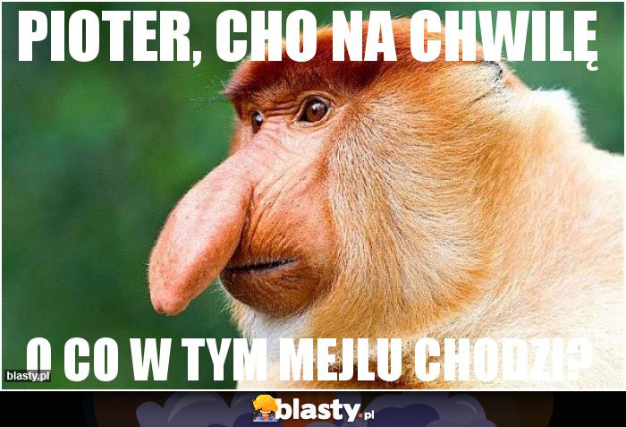 Pioter, cho na chwilę
