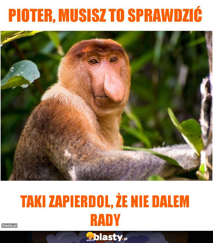 Pioter, musisz to sprawdzić Pioter, musisz to sprawdzić