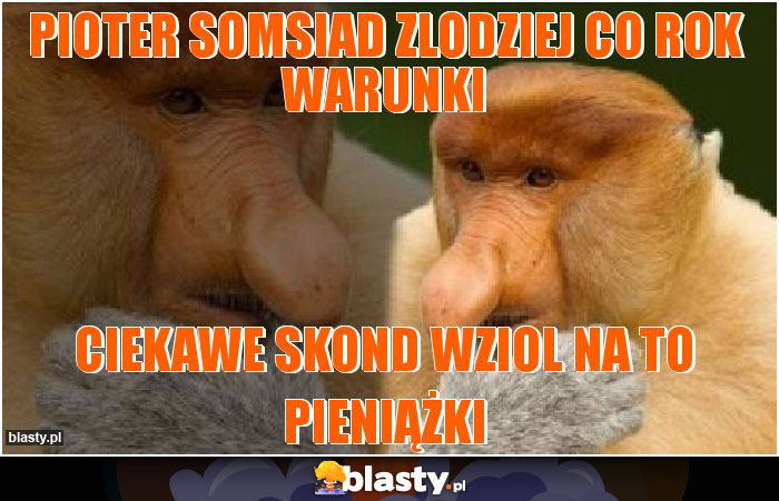 Pioter somsiad zlodziej co rok warunki