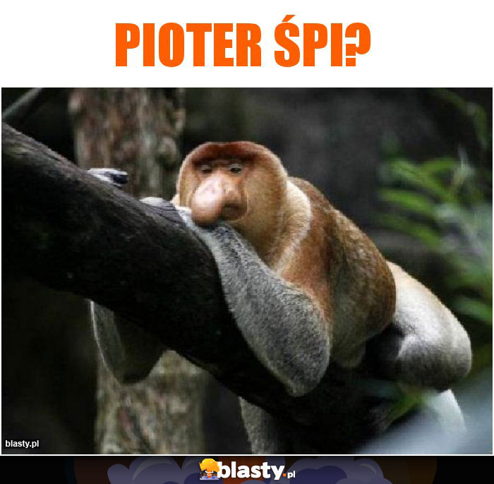 Pioter śpi? Pioter śpi?
