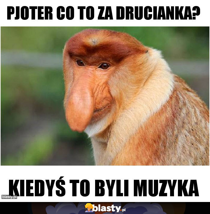 Pjoter co to za drucianka?