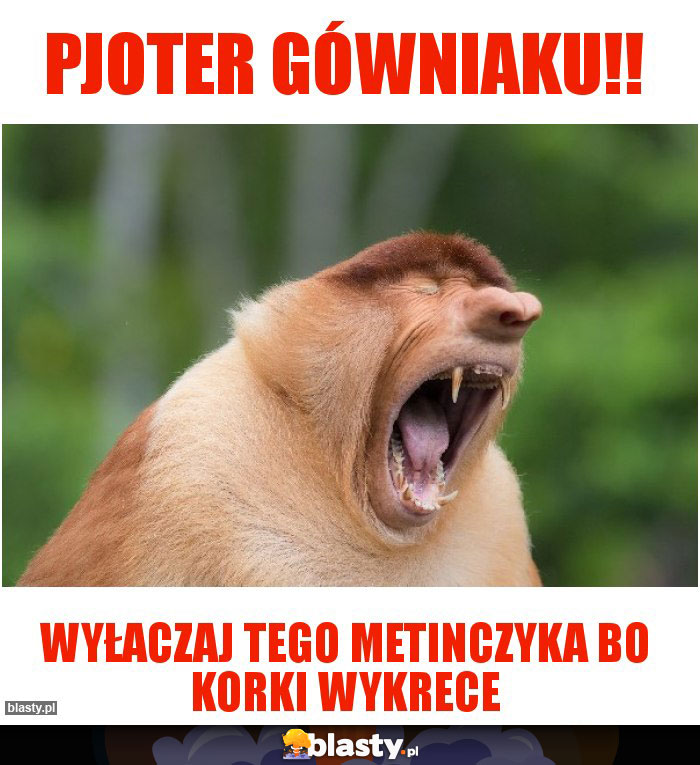 Pjoter gówniaku!!