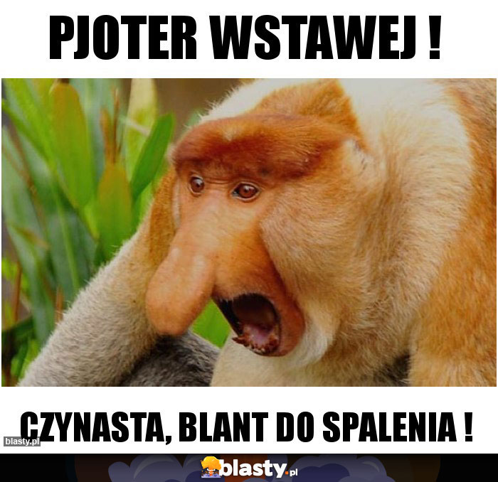 Pjoter wstawej !