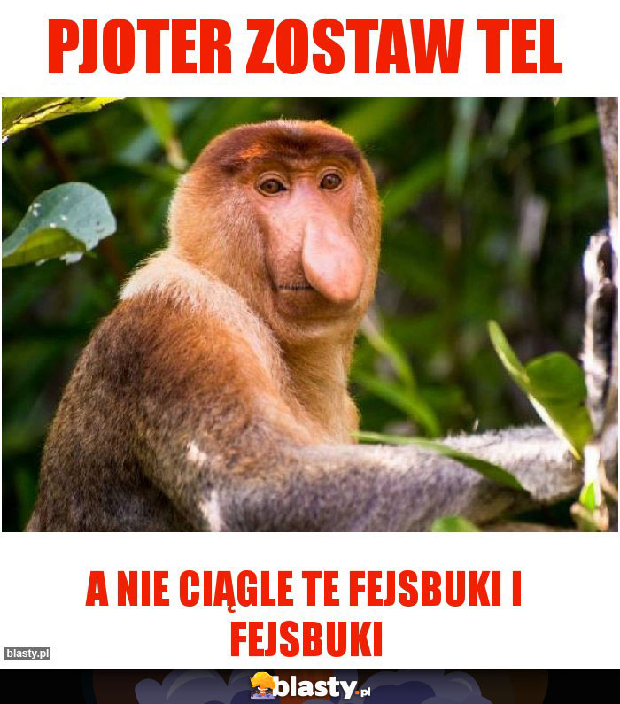 Pjoter zostaw tel