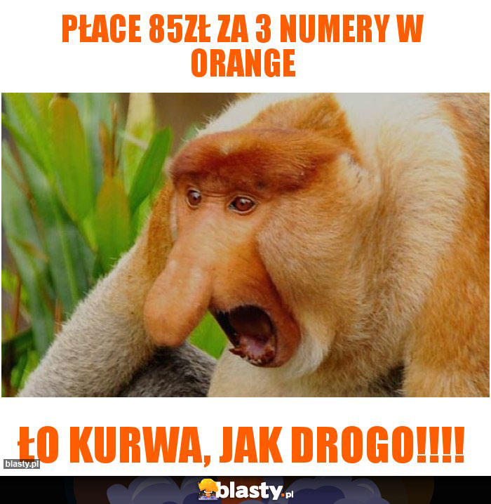 PŁACE 85ZŁ ZA 3 NUMERY W ORANGE