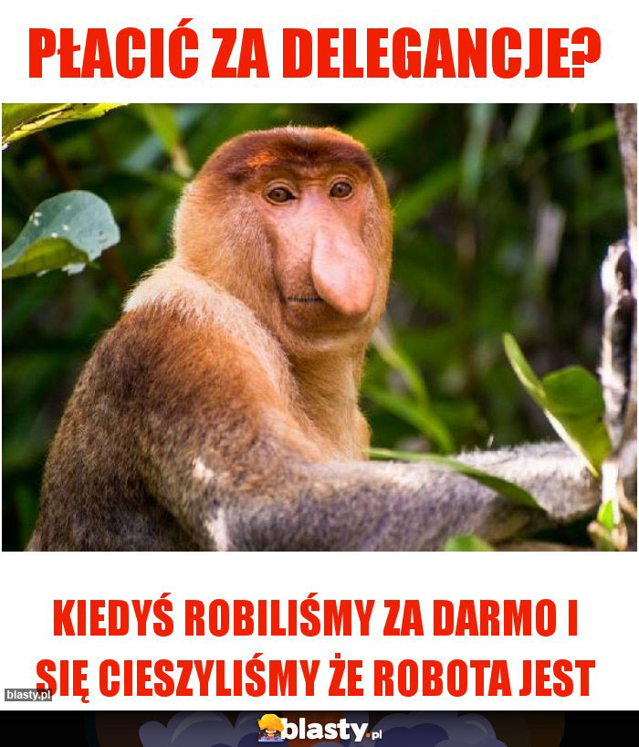 Płacić za delegancje? Płacić za delegancje?
