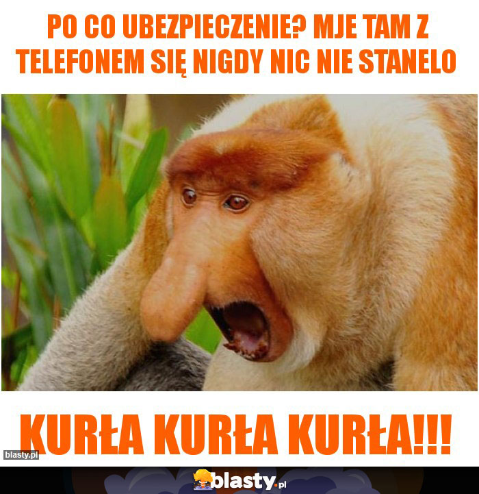 Po co ubezpieczenie? Mje tam z telefonem się nigdy nic nie stanelo Po co ubezpieczenie? Mje tam z telefonem się nigdy nic nie stanelo
