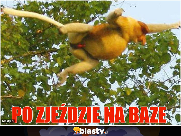 Po zjeździe na baze