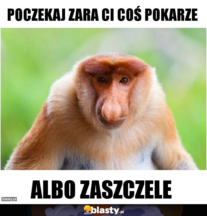 POCZEKAJ ZARA CI COŚ POKARZE