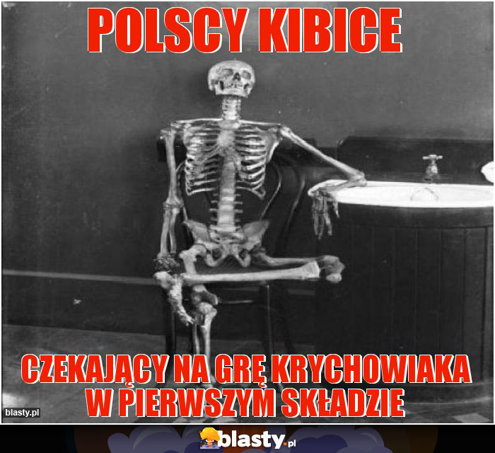 polscy kibice polscy kibice
