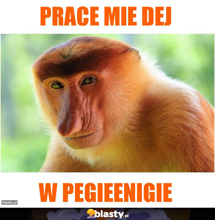 PRACE MIE DEJ