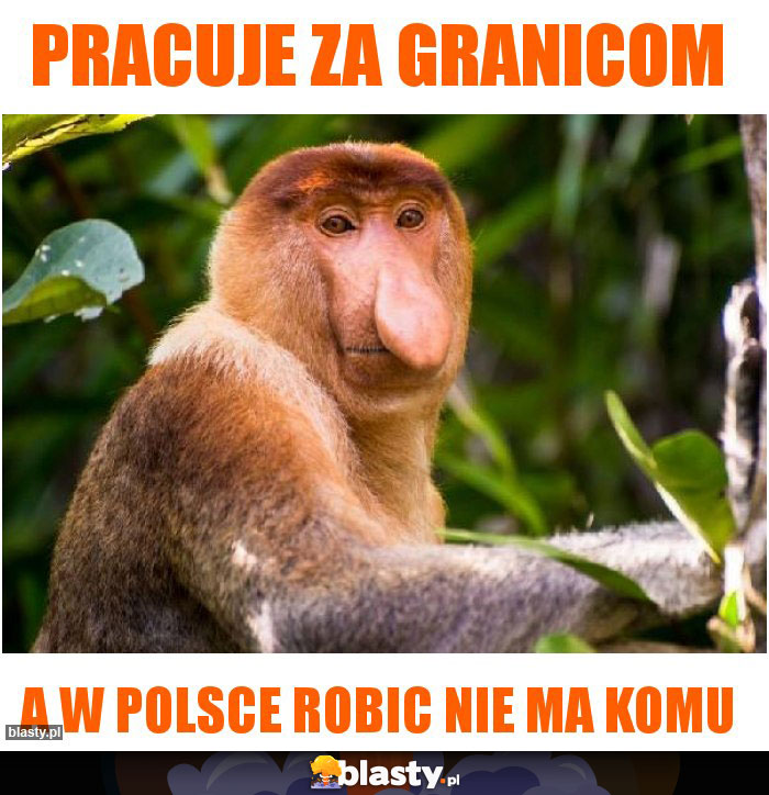 PRACUJE ZA GRANICOM