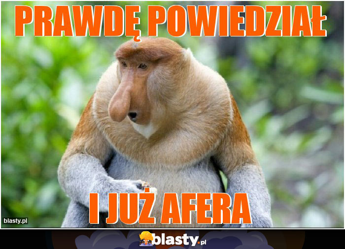 Prawdę powiedział
