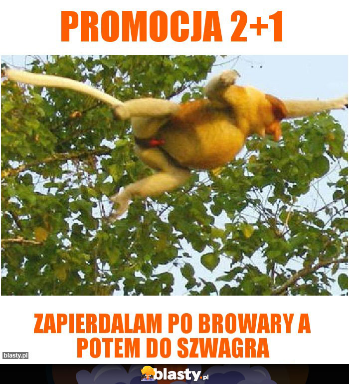 Promocja 2+1 Promocja 2+1