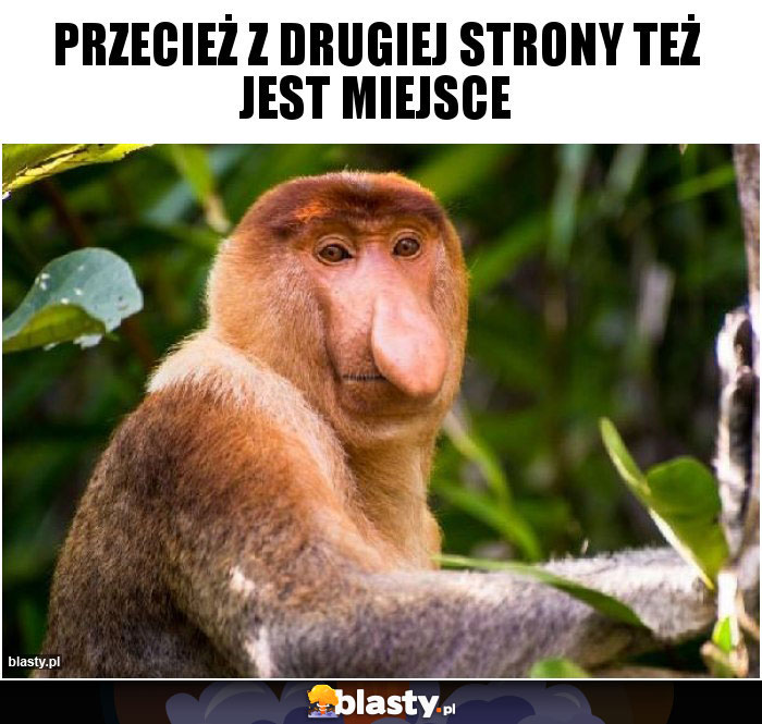 Przecież z drugiej strony też jest miejsce