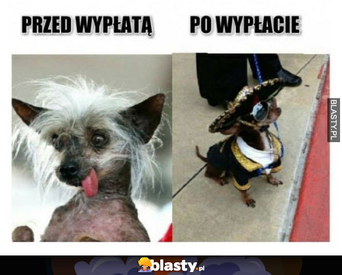 Przed wypłatą vs po wypłacie