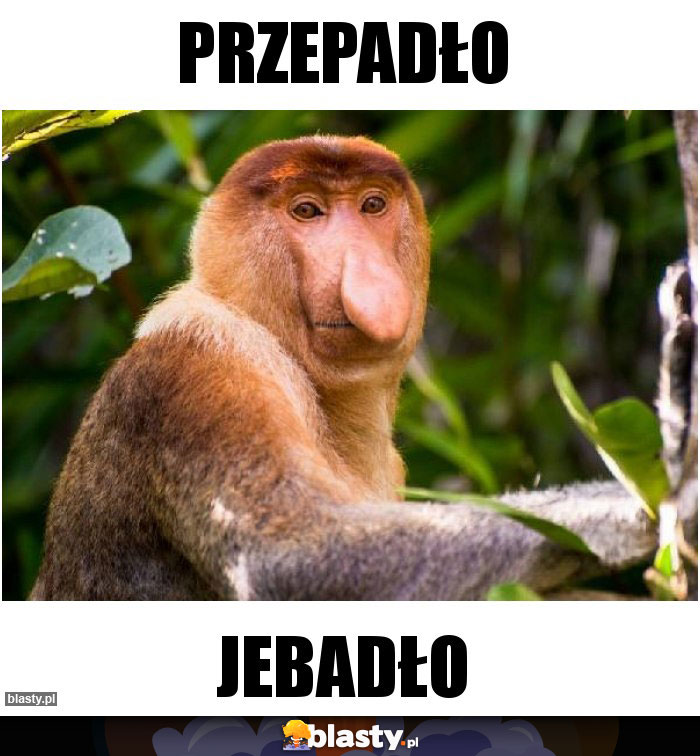 Przepadło