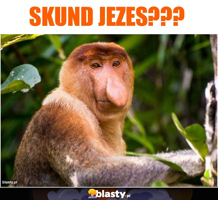 Skund jezes??? Skund jezes???