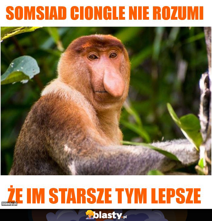 Somsiad ciongle nie rozumi