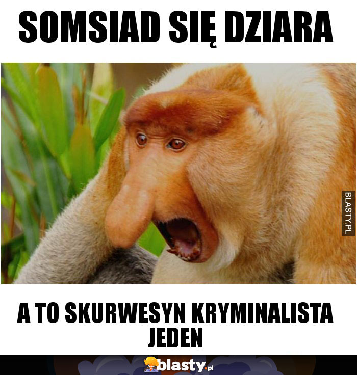 Somsiad się dziara Somsiad się dziara