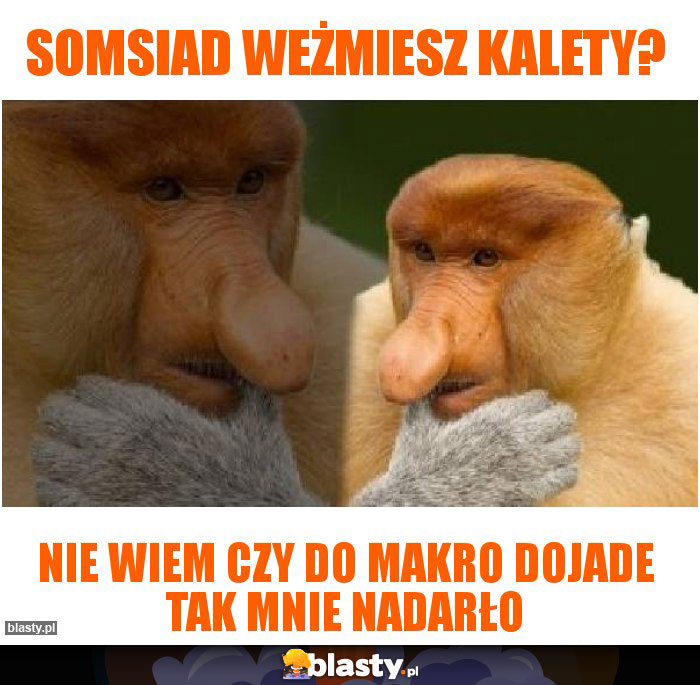 somsiad weżmiesz kalety? somsiad weżmiesz kalety?