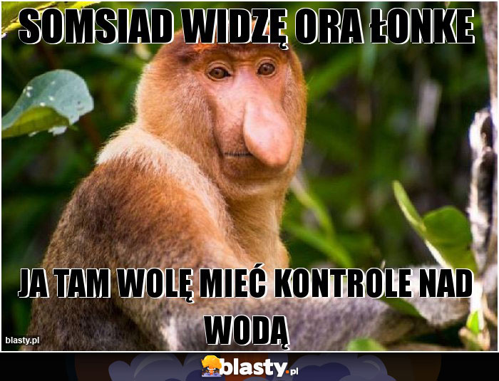 Somsiad widzę ora łonke