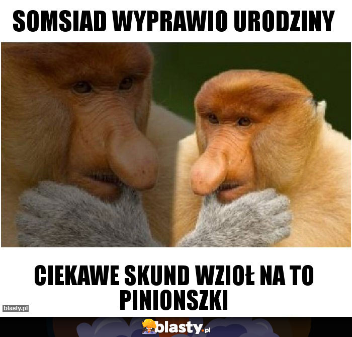 Somsiad wyprawio urodziny Somsiad wyprawio urodziny