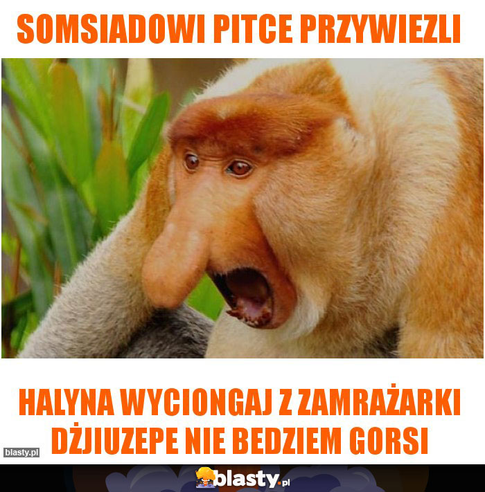 somsiadowi pitce przywiezli somsiadowi pitce przywiezli
