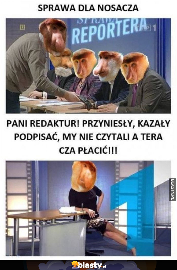 Sprawa dla nosacza