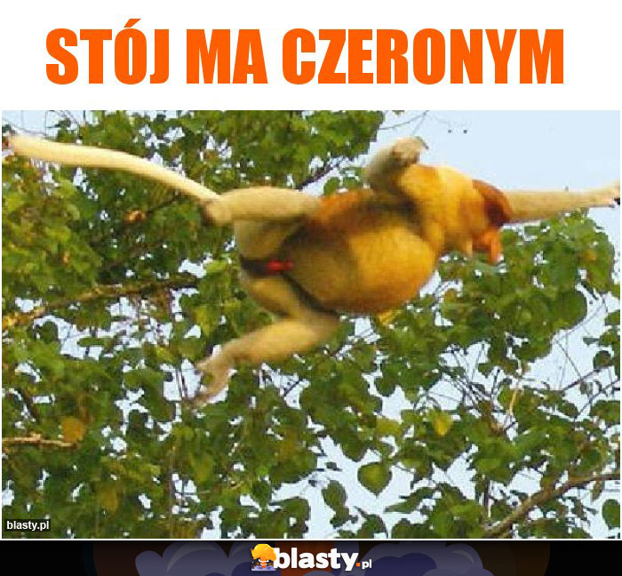 stój ma czeronym stój ma czeronym
