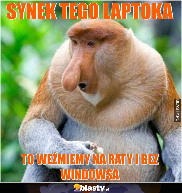 synek tego laptoka synek tego laptoka