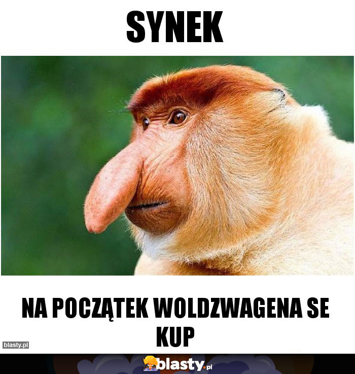 SYNEK