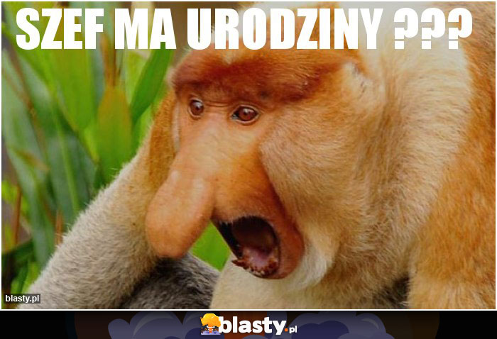 szef ma urodziny ???