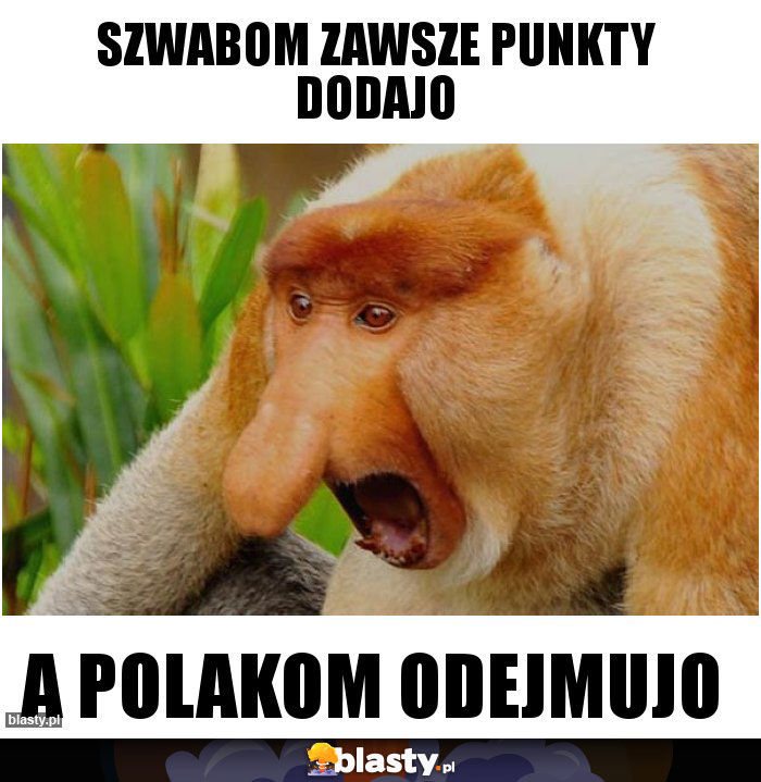 Szwabom zawsze punkty dodajo Szwabom zawsze punkty dodajo