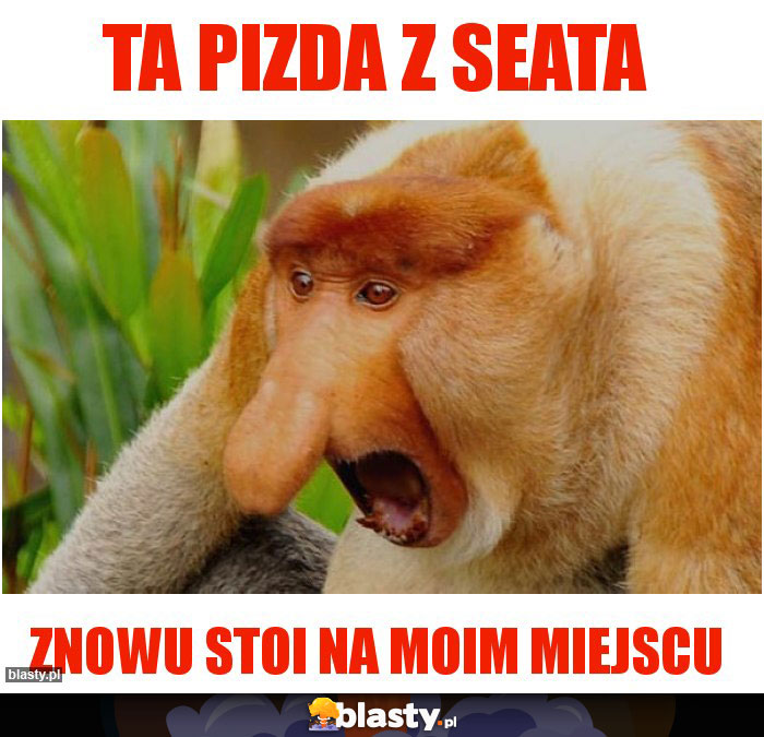 Ta pizda z seata Ta pizda z seata