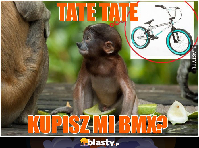 tate tate