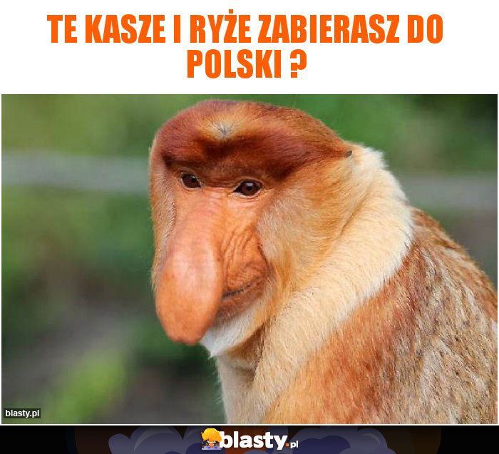 Te kasze i ryże zabierasz do Polski ?