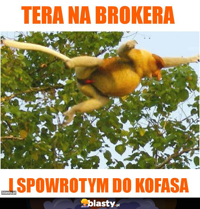 TERA NA BROKERA TERA NA BROKERA