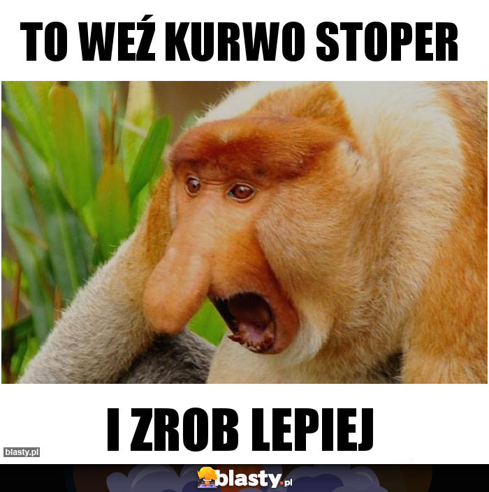 to weź kurwo stoper