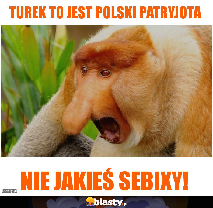 Turek to jest polski patryjota Turek to jest polski patryjota